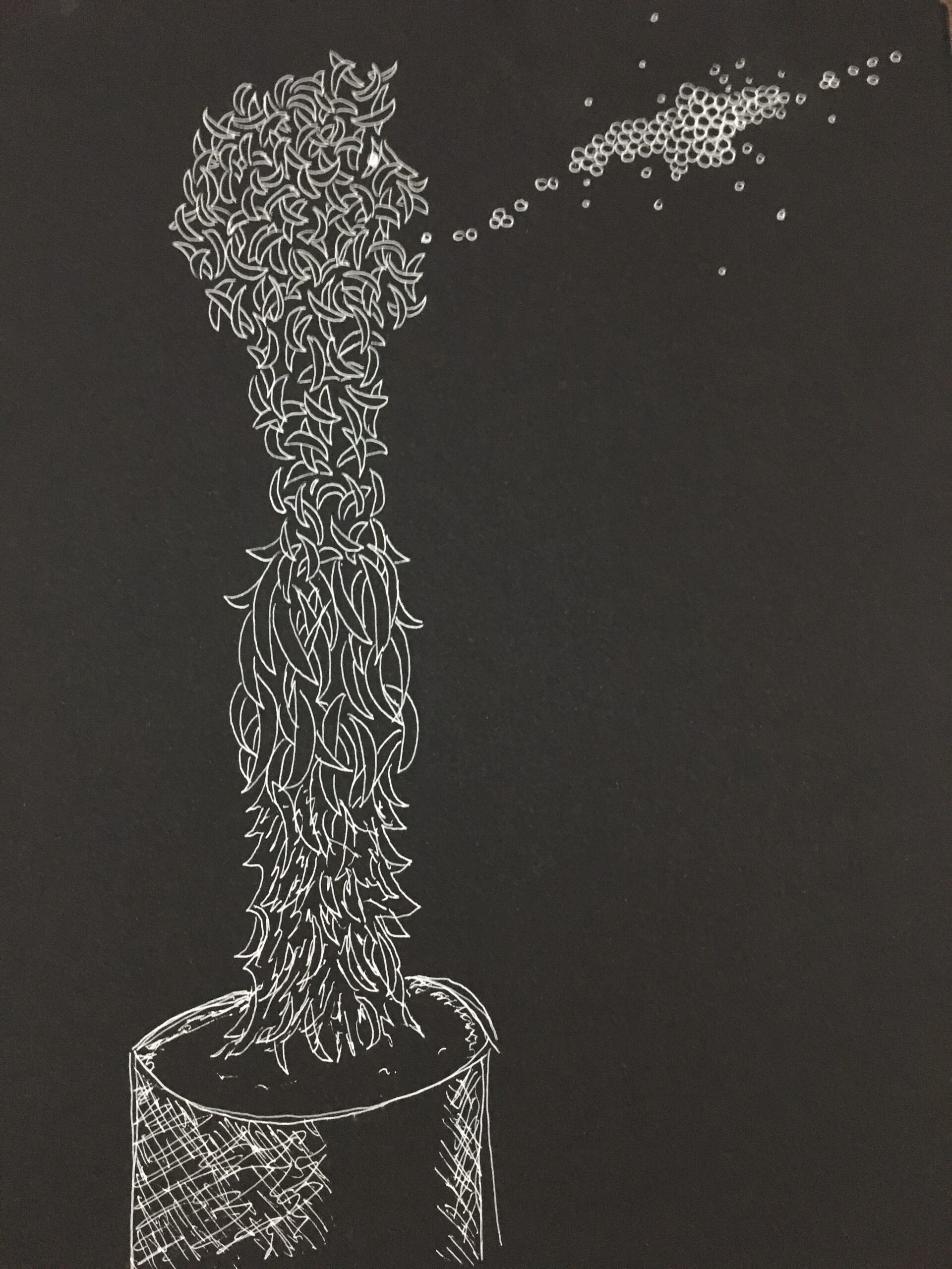 drawing