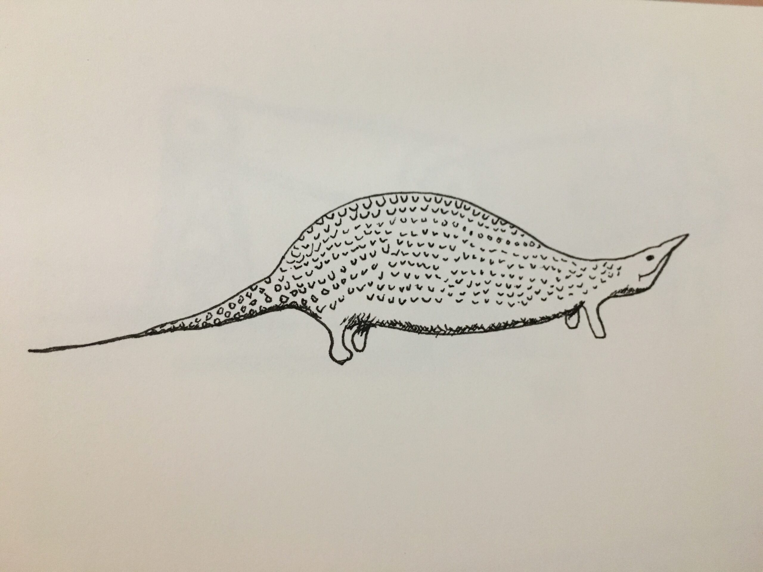 drawing
